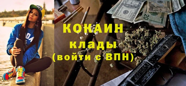 стаф Алексин