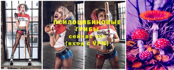 бошки Алексеевка