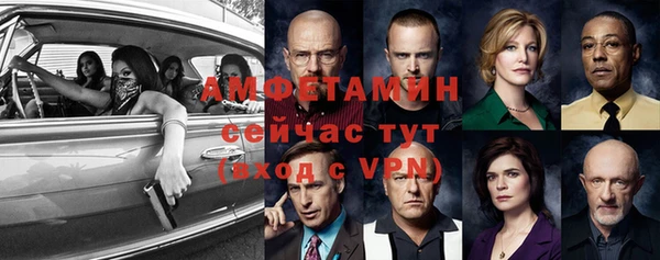 стаф Алексин