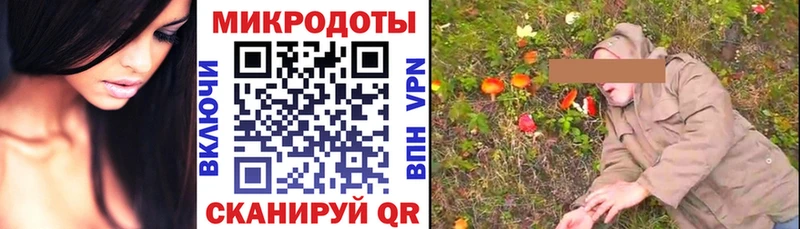 Галлюциногенные грибы мухоморы закладки Невьянск